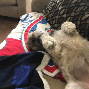 Meet your Posher, Brittany